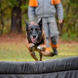 Meet your Posher, Ralph